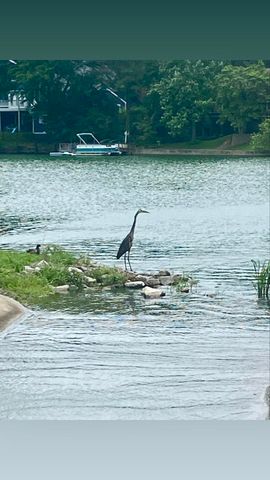 174 LEIF CV, Memphis, TN 38018