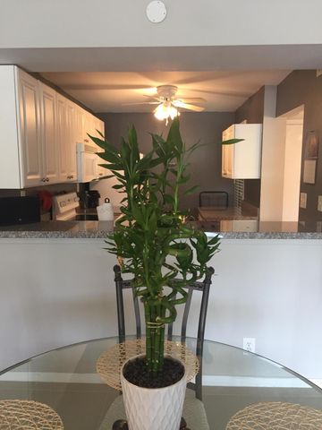 10 Royal Palm Way 2030, Boca Raton, FL 33432