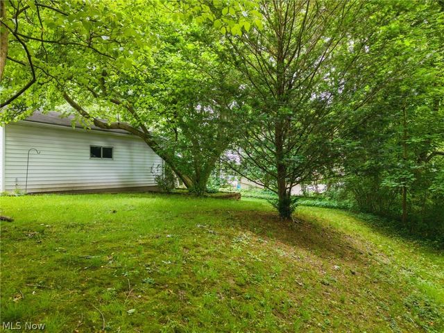1151 Juniper Avenue, Akron, OH 44310