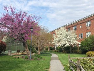1630 W ABINGDON DR #201, Alexandria, VA 22314