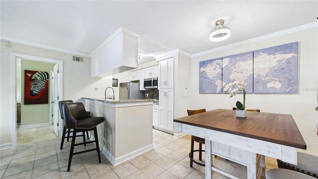 5306 SANTA ROSA COURT 143, Tampa, FL 33609