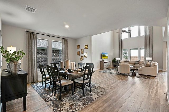 21106 Bella Coral Drive, Cypress, TX 77433