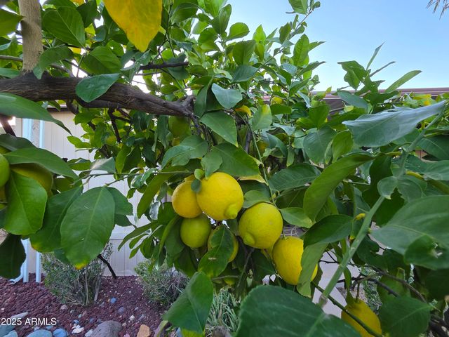 2233 E BEHREND Drive 152, Phoenix, AZ 85024