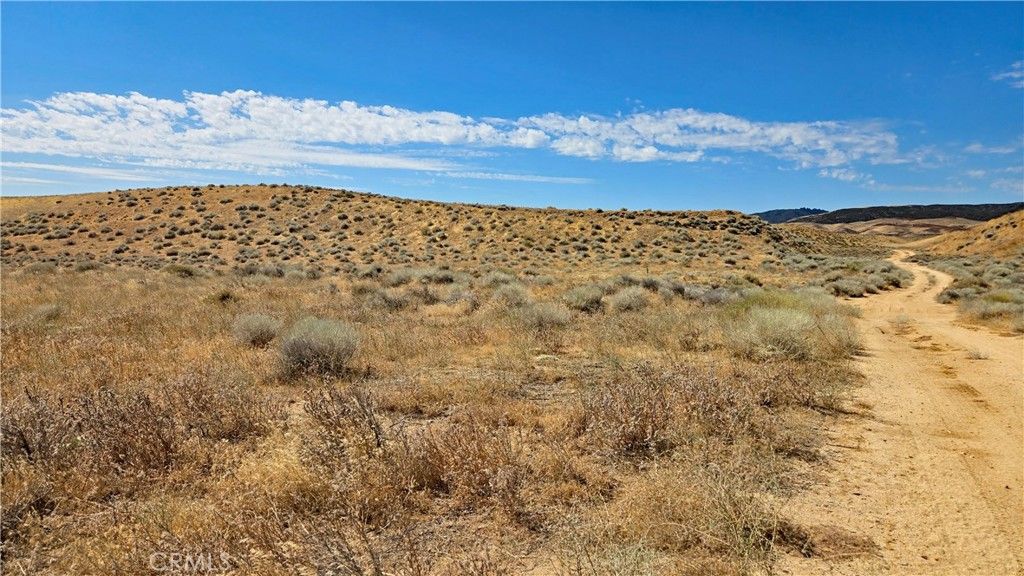 0 Cor Myrick Canyon Rd & Barset, Lancaster, CA 93536