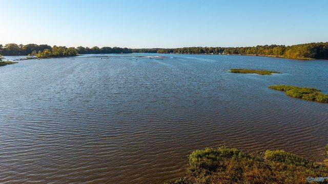 Lot 40 County Road 115, Cedar Bluff, AL 35959