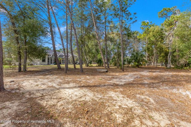 14071 Linden Drive, Spring Hill, FL 34609
