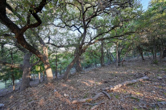 315 RITTIMANN RD, Spring Branch, TX 78070