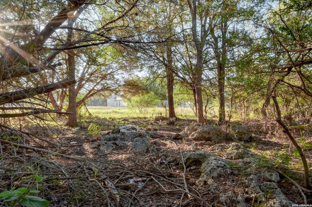 315 RITTIMANN RD, Spring Branch, TX 78070