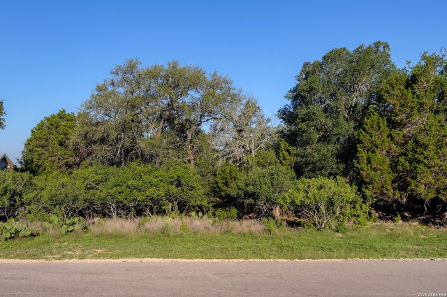 315 RITTIMANN RD, Spring Branch, TX 78070