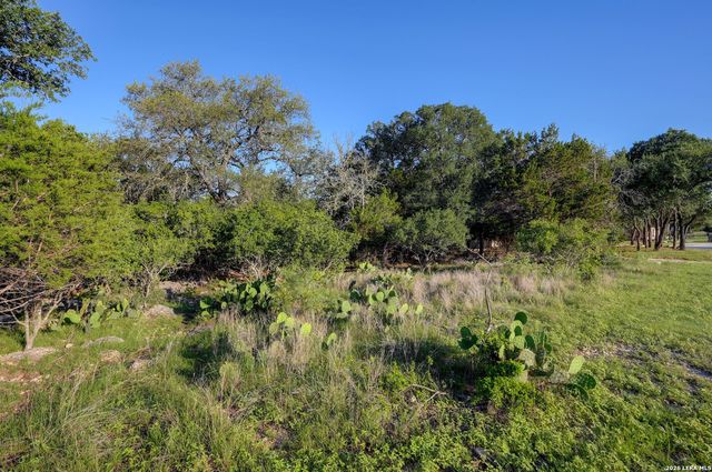 315 RITTIMANN RD, Spring Branch, TX 78070