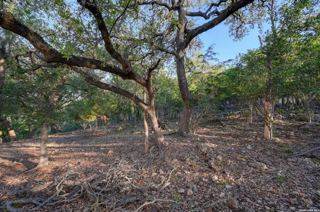 315 RITTIMANN RD, Spring Branch, TX 78070
