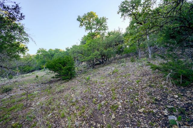 315 RITTIMANN RD, Spring Branch, TX 78070