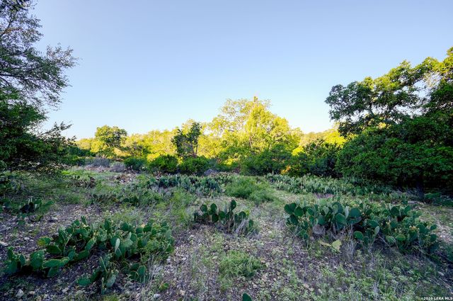 315 RITTIMANN RD, Spring Branch, TX 78070