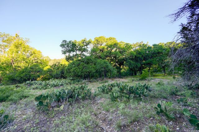 315 RITTIMANN RD, Spring Branch, TX 78070