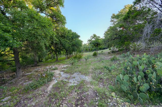 315 RITTIMANN RD, Spring Branch, TX 78070