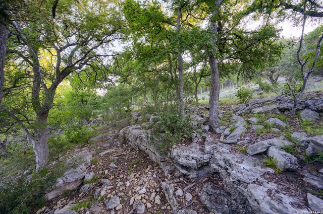 315 RITTIMANN RD, Spring Branch, TX 78070