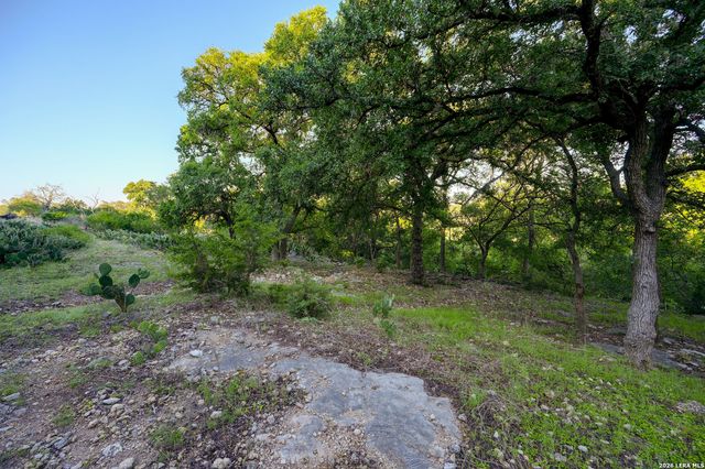 315 RITTIMANN RD, Spring Branch, TX 78070