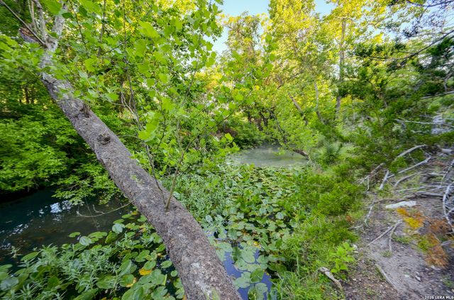 315 RITTIMANN RD, Spring Branch, TX 78070