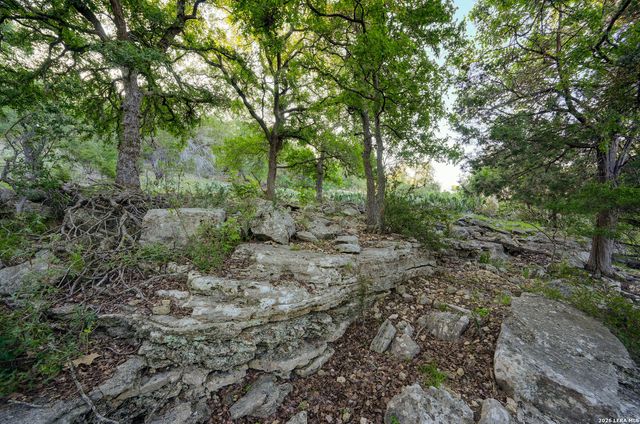 315 RITTIMANN RD, Spring Branch, TX 78070