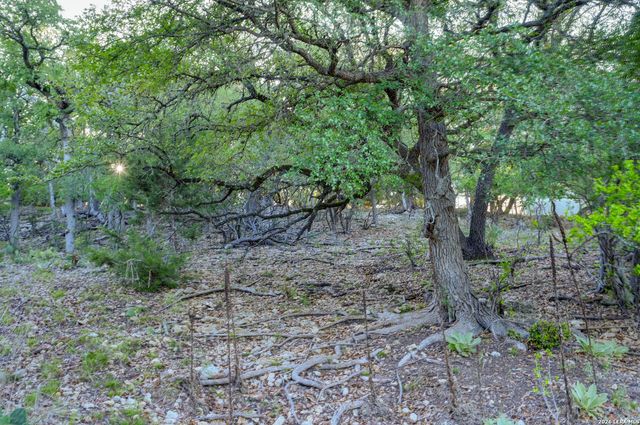 315 RITTIMANN RD, Spring Branch, TX 78070