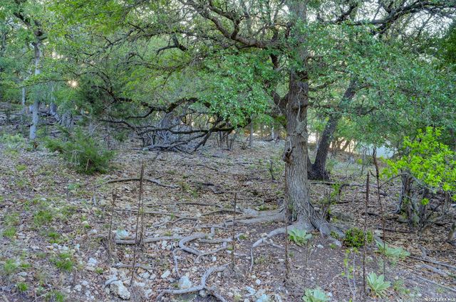 315 RITTIMANN RD, Spring Branch, TX 78070