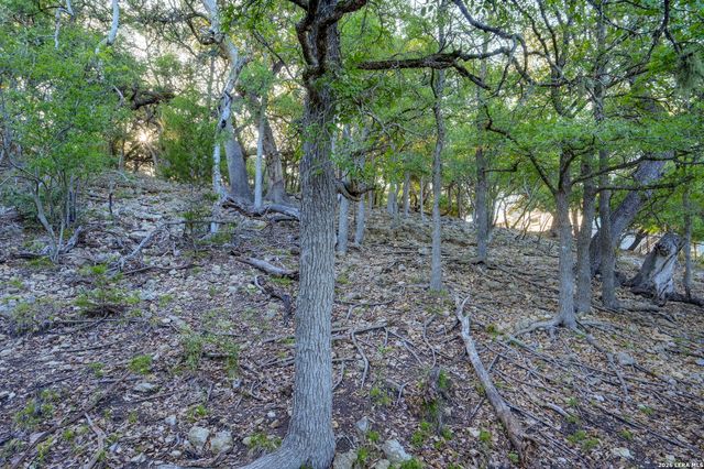 315 RITTIMANN RD, Spring Branch, TX 78070