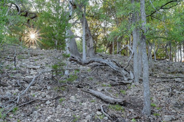 315 RITTIMANN RD, Spring Branch, TX 78070