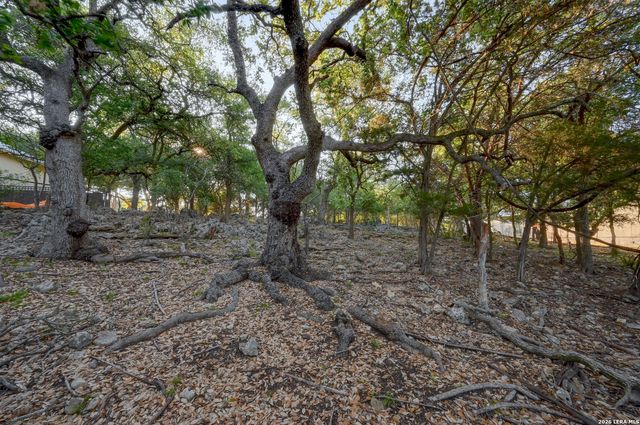 315 RITTIMANN RD, Spring Branch, TX 78070