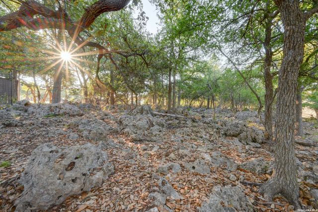 315 RITTIMANN RD, Spring Branch, TX 78070