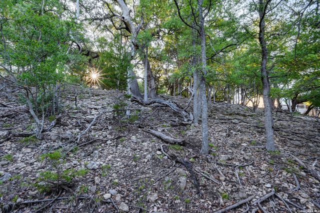 315 RITTIMANN RD, Spring Branch, TX 78070
