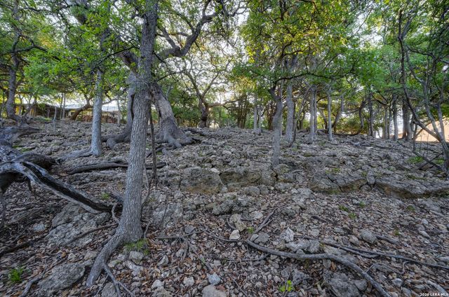 315 RITTIMANN RD, Spring Branch, TX 78070