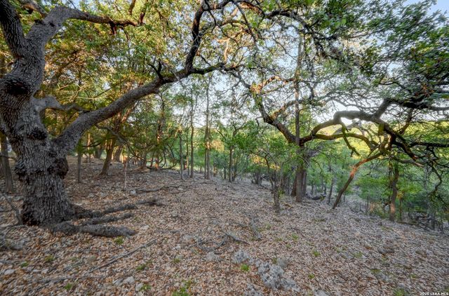 315 RITTIMANN RD, Spring Branch, TX 78070