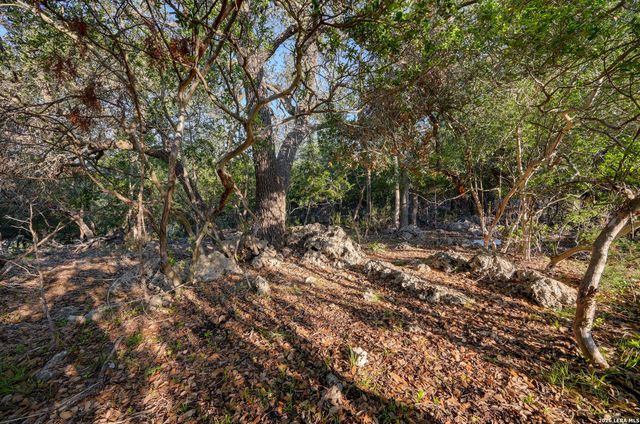 315 RITTIMANN RD, Spring Branch, TX 78070