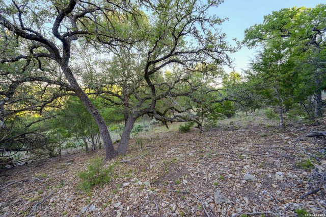 315 RITTIMANN RD, Spring Branch, TX 78070