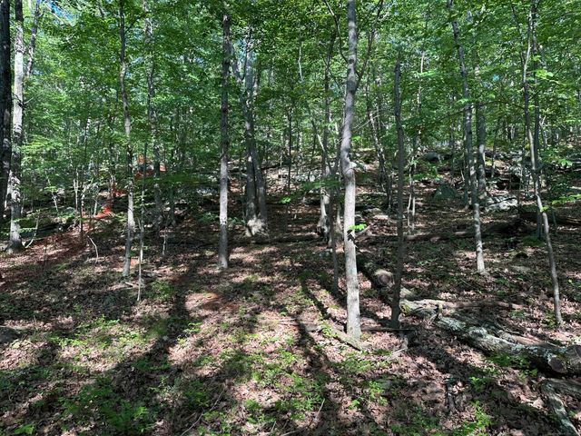130 Mountain View Road, Glastonbury, CT 06033
