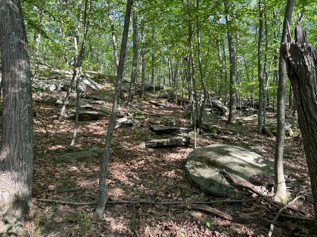 130 Mountain View Road, Glastonbury, CT 06033