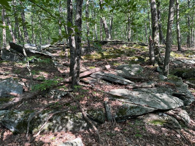130 Mountain View Road, Glastonbury, CT 06033
