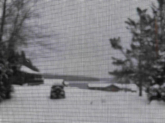 33 Timberland Road, Pittsburg, NH 03592