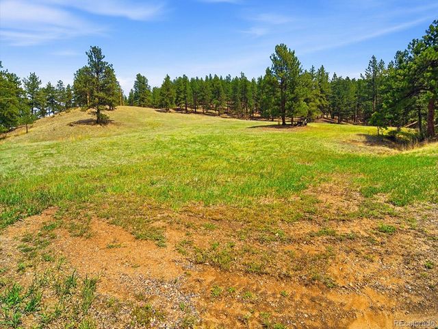 2830 Kerr Gulch Road, Evergreen, CO 80439