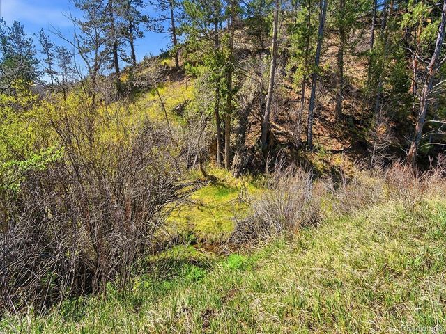 2830 Kerr Gulch Road, Evergreen, CO 80439