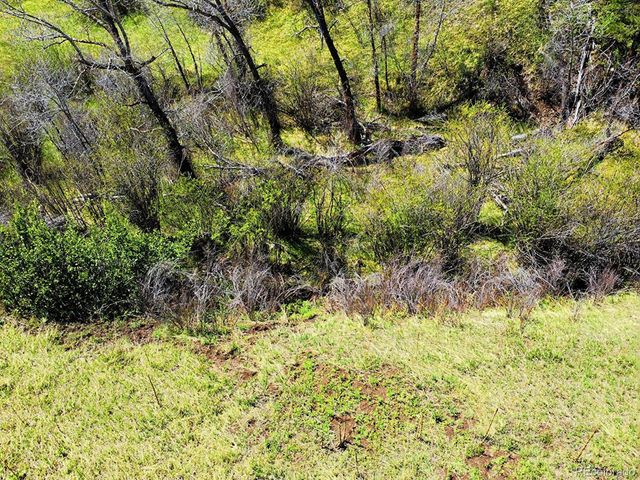 2830 Kerr Gulch Road, Evergreen, CO 80439