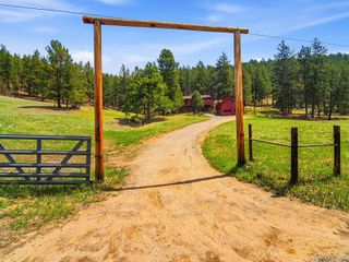 2830 Kerr Gulch Road, Evergreen, CO 80439