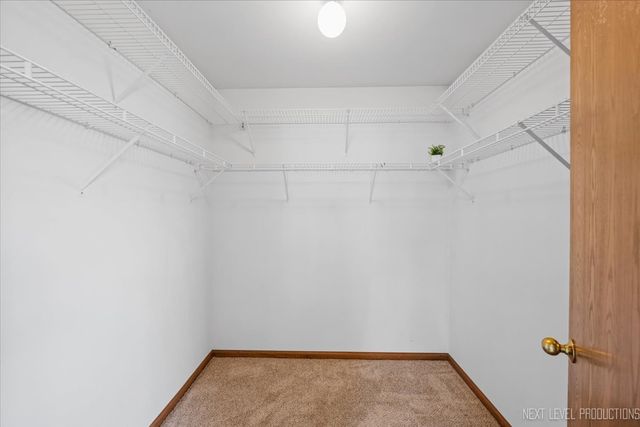 21289 Silktree Circle, Plainfield, IL 60544