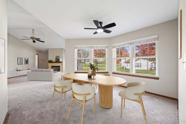 21289 Silktree Circle, Plainfield, IL 60544