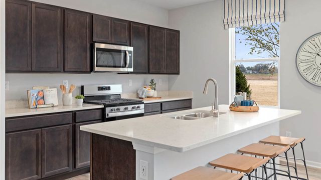 995 Sapphire Lane, Montgomery, IL 60538