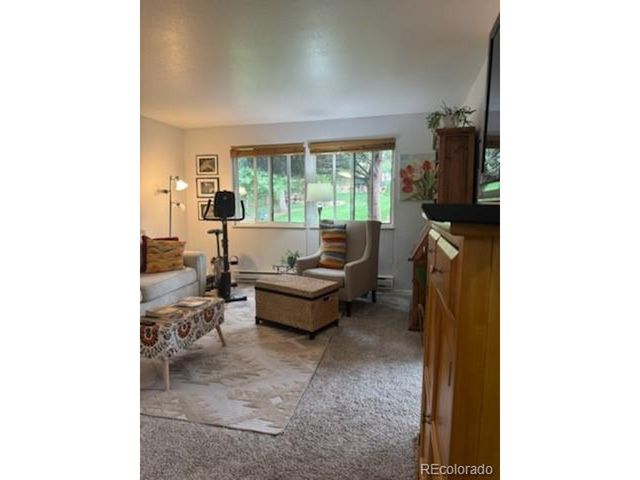 327 El Paso Blvd H, Manitou Springs, CO 80829