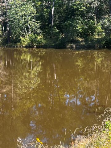 401 Crystal Creek Drive, Livingston, TX 77351