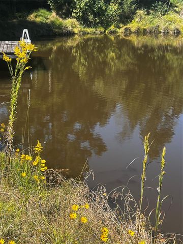 401 Crystal Creek Drive, Livingston, TX 77351