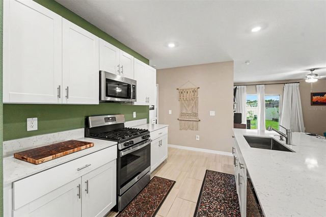 22248 PLEASANT MORNING DRIVE, Land O Lakes, FL 34637