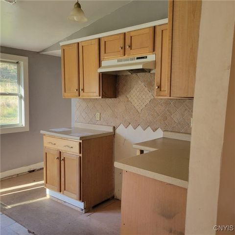 4898 Health Camp Road, Homer, NY 13045